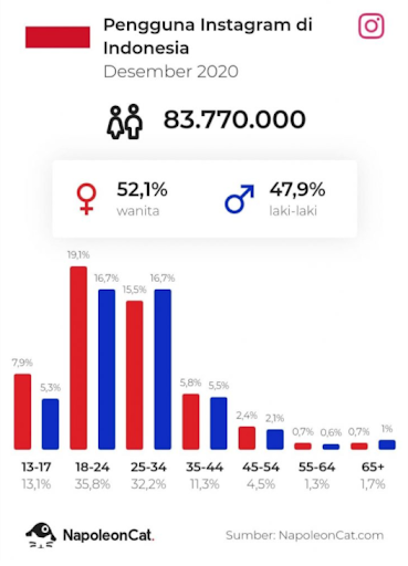 Data pengguna Instagram di Indonesia